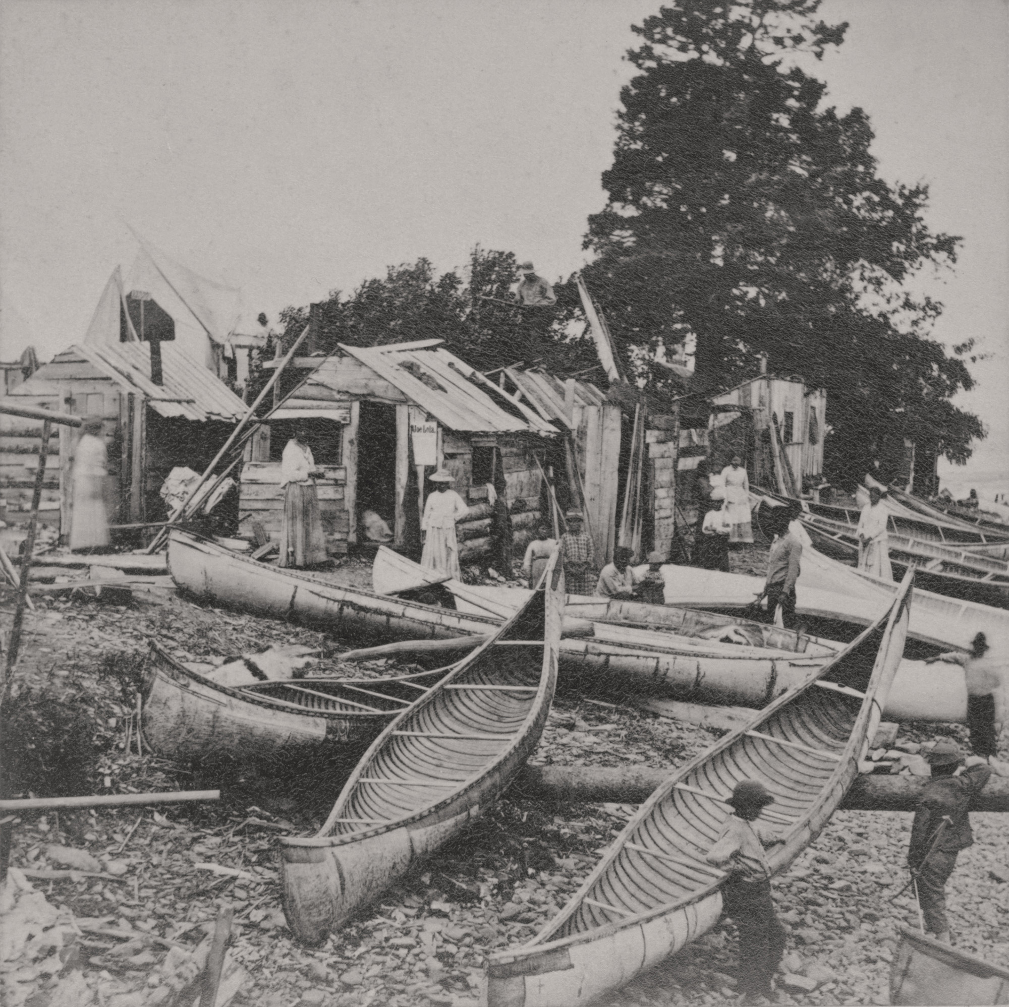 historic image of Wabanaki Encampment. Courtesy of the Abbe Museum, Bar Harbor.